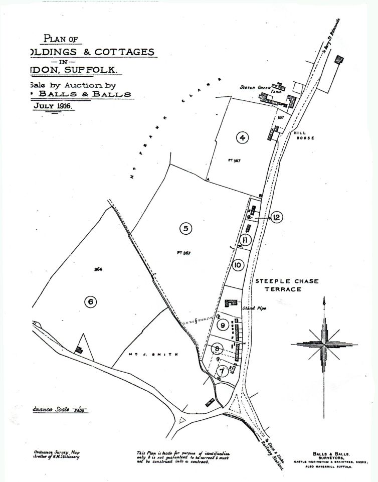 Map from 1916, It is possible that Steeplechase terrace may have been for sale at that time. submitted by Alan Sergeant