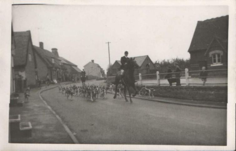 FoxHounds Hundon 1
