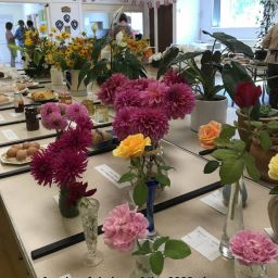 Hundon Gardening Club
